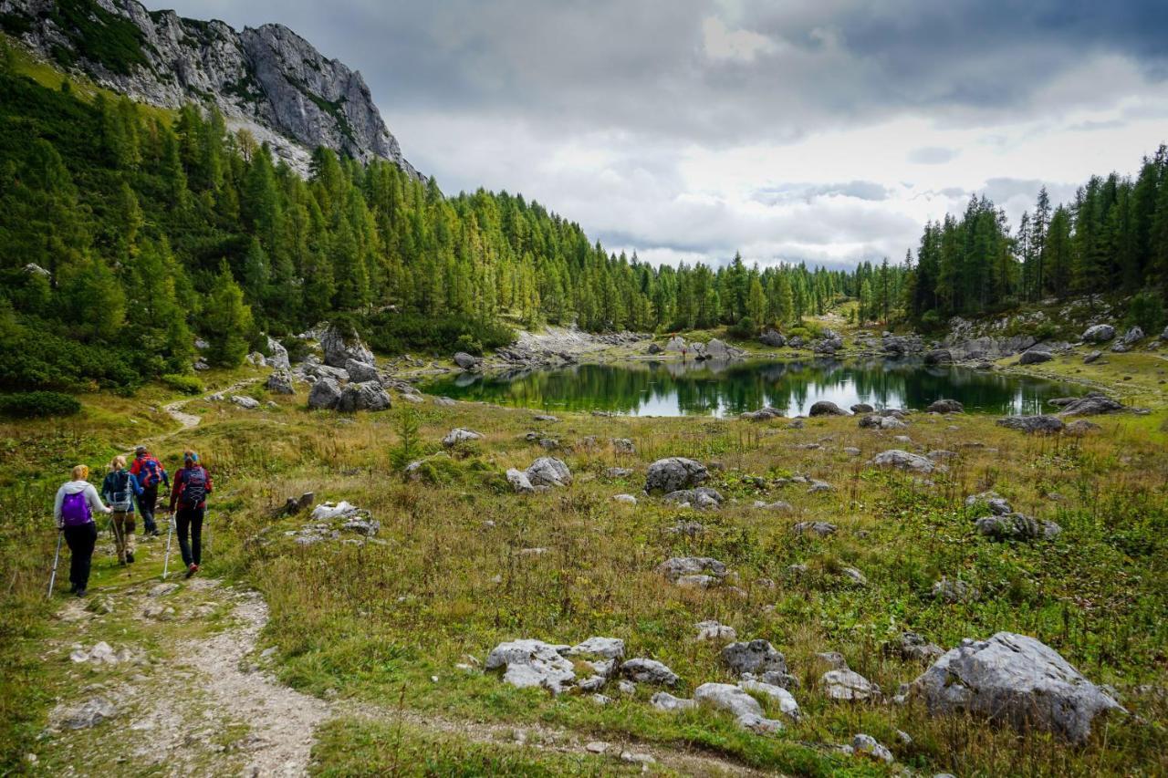 Chalet Hike&Bike Above Bohinj Valley Dış mekan fotoğraf