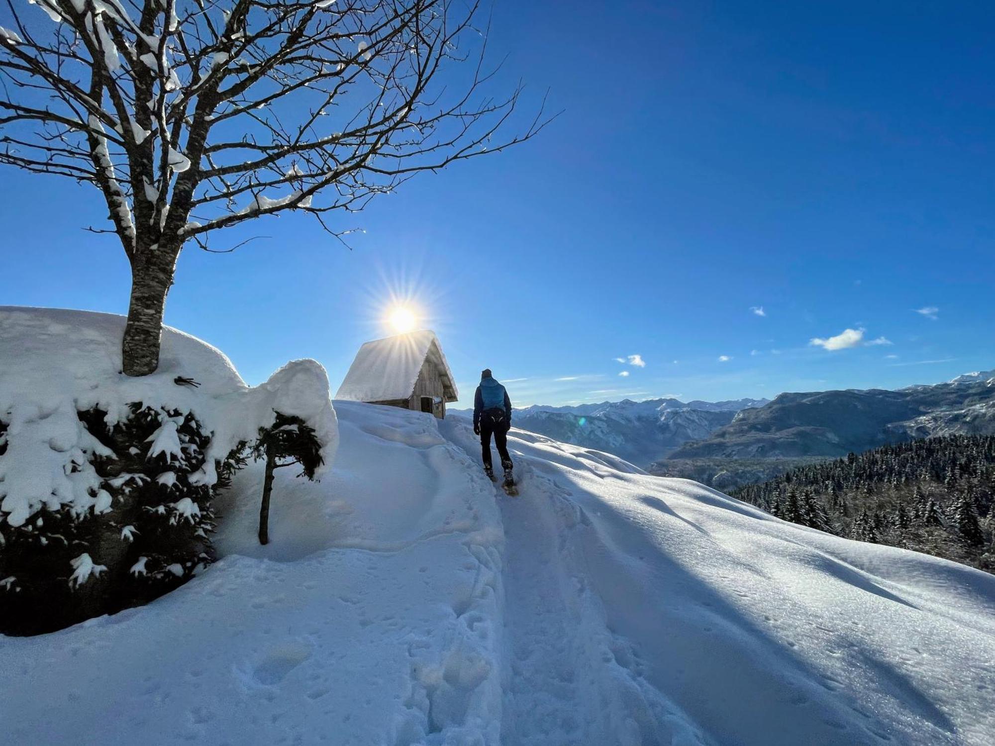 Chalet Hike&Bike Above Bohinj Valley Dış mekan fotoğraf